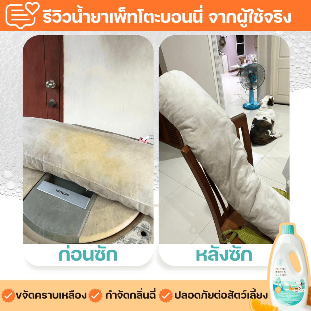 เซตน้ำยาทำความสะอาดอเนกประสงค์ PETTO BONNYS (ชนิดขวด + ถุงเติม) สูตรเข้มข้น กลิ่นเปปเปอร์มินต์และส้ม 600 มล._5