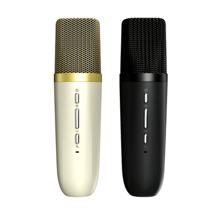 ลำโพงบลูทูธ HIFUTURE VOCALIST 100 พร้อมไมโครโฟน สีเงิน_2