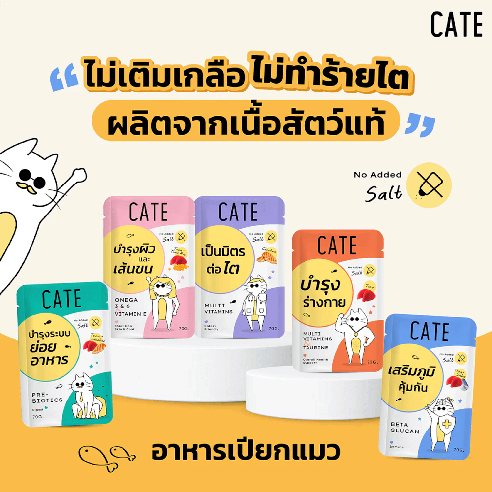 เซ็ตอาหารเปียกแมว CATE และแมวเลีย รวมสูตร 14 ชิ้น (อาหารเปียกแมว 10 ซอง แมวเลีย 4 แพ็ค)_2