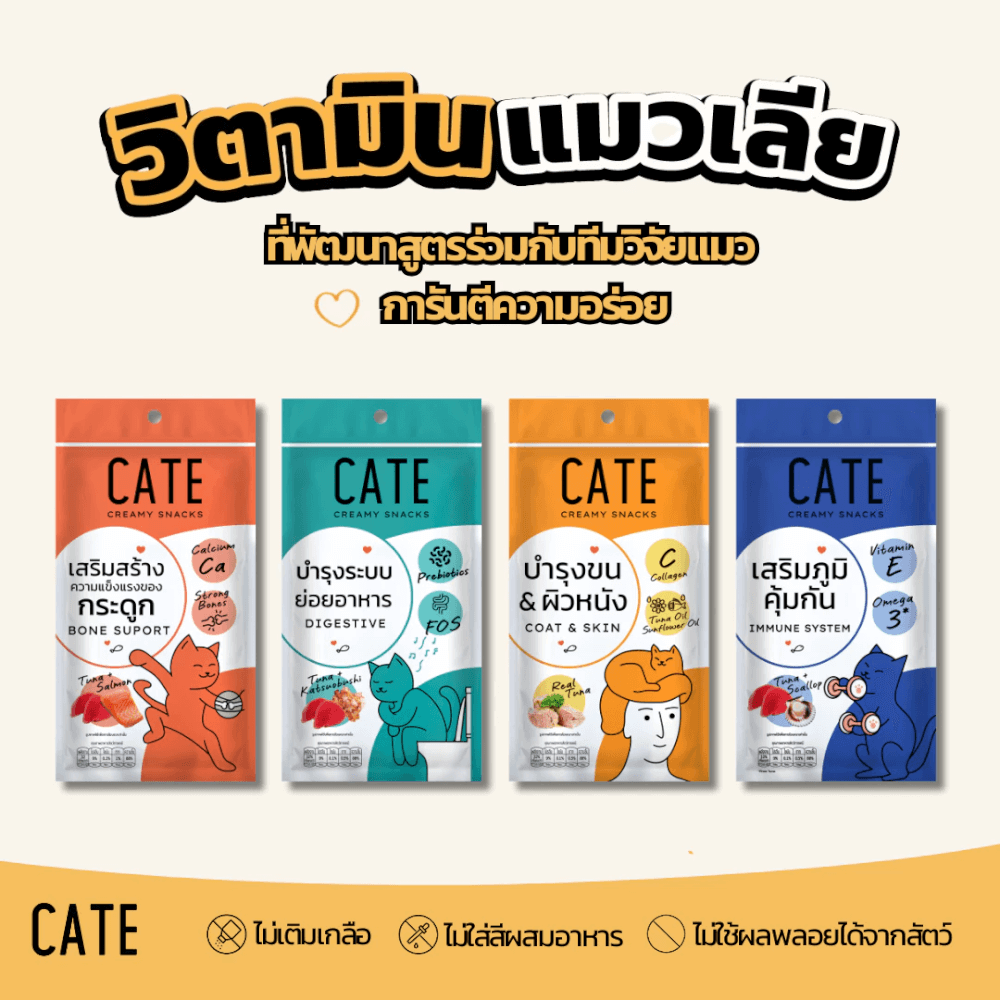 เซ็ตอาหารเปียกแมว CATE และแมวเลีย รวมสูตร 14 ชิ้น (อาหารเปียกแมว 10 ซอง แมวเลีย 4 แพ็ค)_3