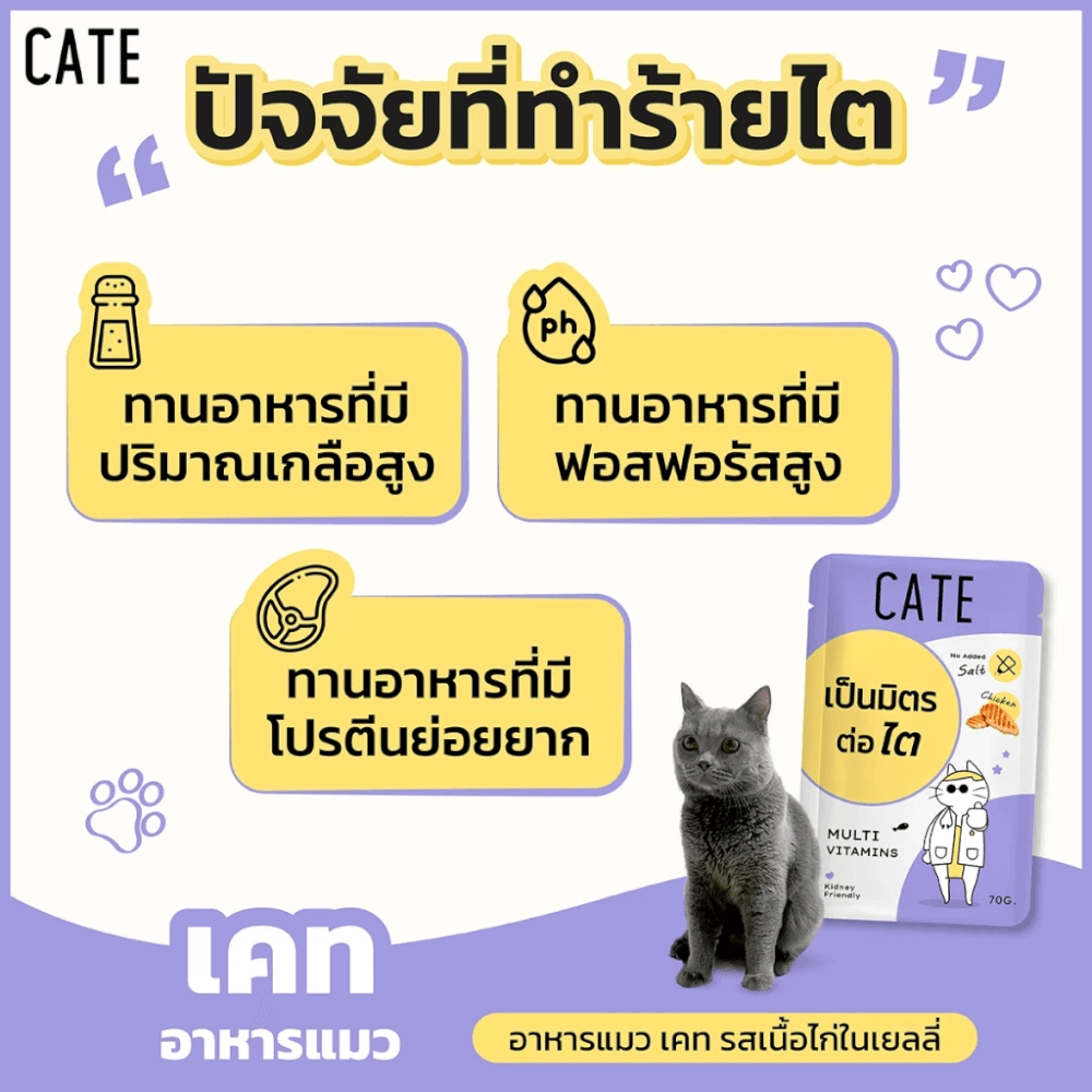 อาหารเปียกแมว CATE รสไก่ ในซอฟท์เจลลี่ สูตรเป็นมิตรต่อไต มีวิตามินรวม (ยกโหล 12 ซอง 70G.)_5