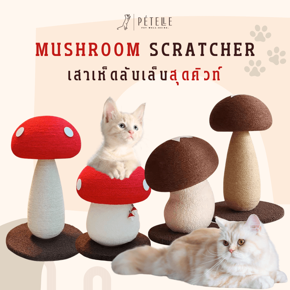 ที่ลับเล็บแมว PETELLE รุ่น MUSHROOM SCRATCHER ไซส์ S สีแดง_1