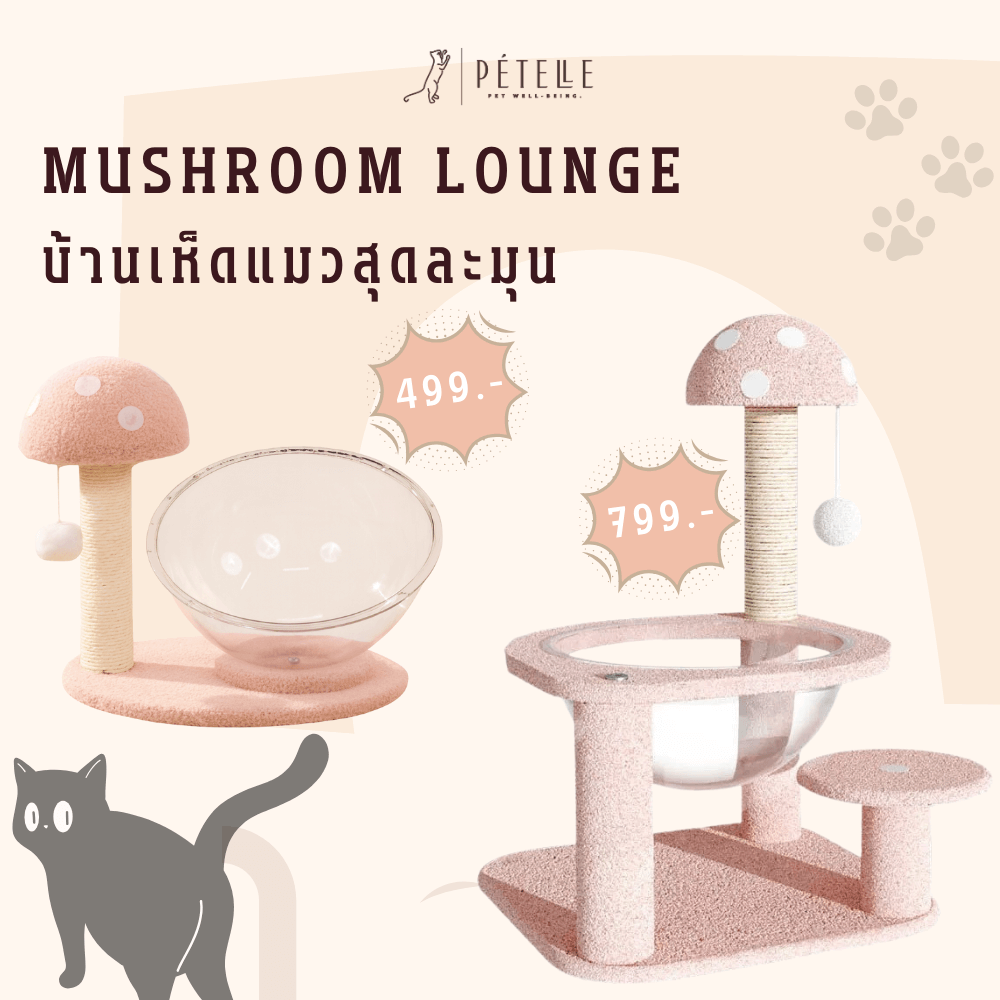 บ้านเห็ดแมวพร้อมโดมใส PETELLE รุ่น MUSHROOM LOUNGE ไซส์ S_1