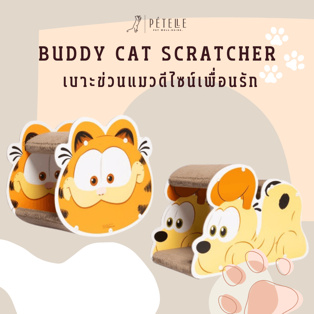 ที่ลับเล็บแมว PETELLE รุ่น BUDDY CAT SCRATCHER (DOODOO)