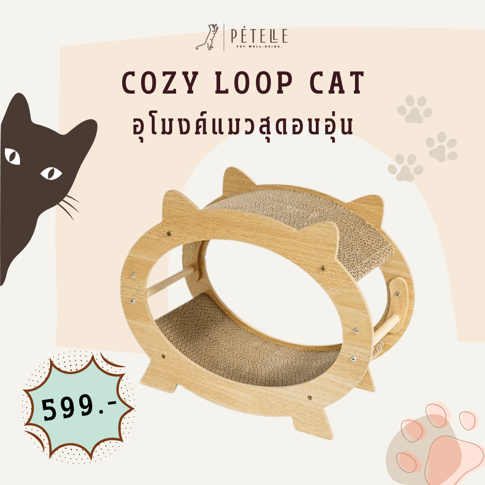 ที่นอนแมวแบบอุโมงค์สองชั้น PETELLE รุ่น COZY LOOP CAT วัสดุกระดาษลูกฟูกและโครงไม้