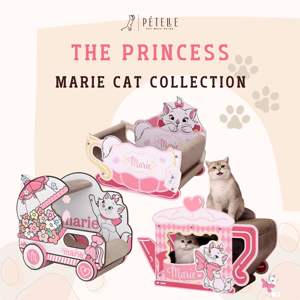 ที่ลับเล็บแมว PETELLE MARIE CAT COLLECTION บ้านแมวลายมารี กาน้ำชา
