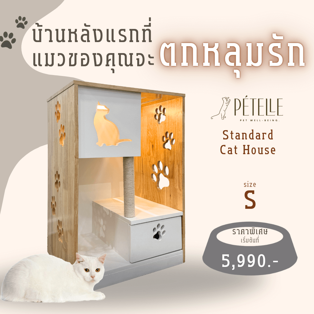 บ้านแมว PETELLE รุ่นมาตรฐาน ไซส์ S ขนาด 60X45X90 ซม._1