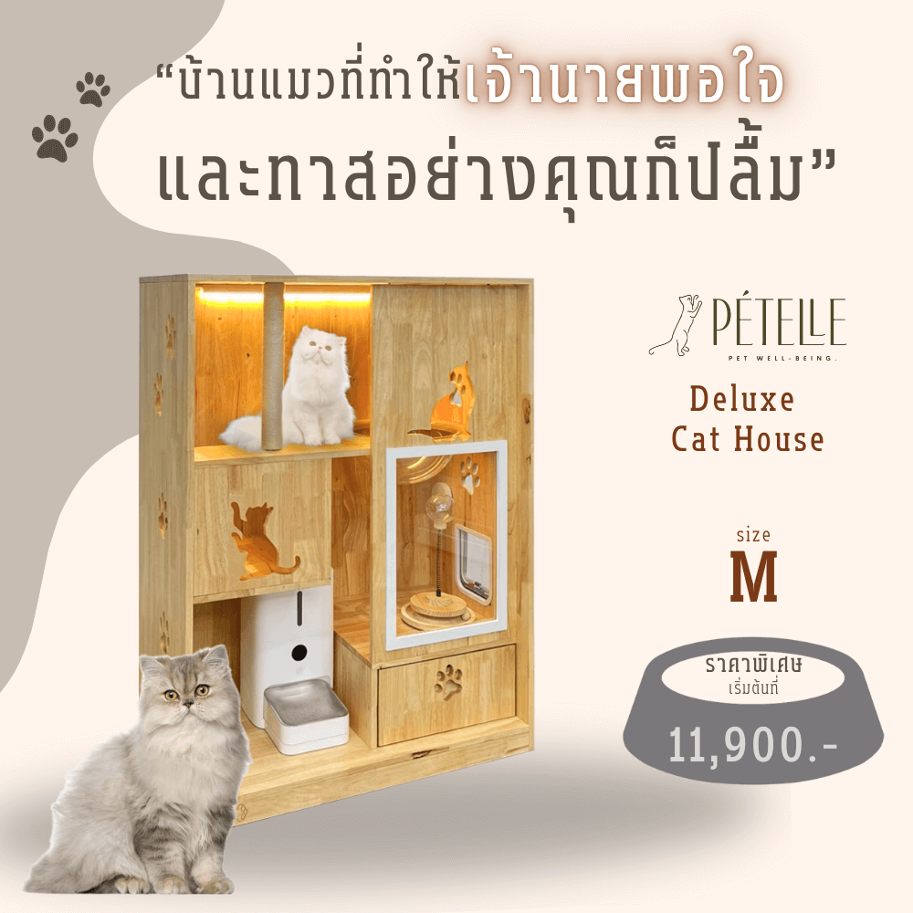 บ้านแมว PETELLE ไซส์ M ขนาด 90X50X120 ซม.