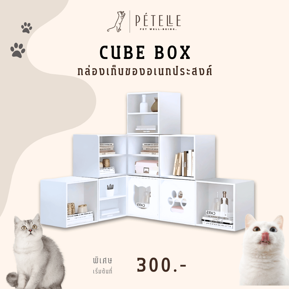 ตู้เตี้ยบานเปิด 2 ชั้น PETELE รุ่น CUBE BOX04 ขนาด 35X33X35 ซม.สีไม้_1