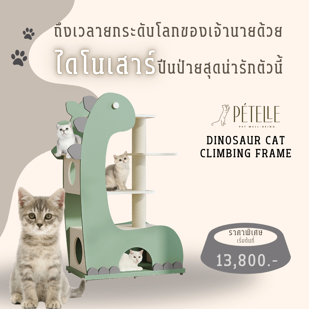 คอนโดแมว PETELE รุ่น DINOSAUR CAT CLIMBING FRAME_1