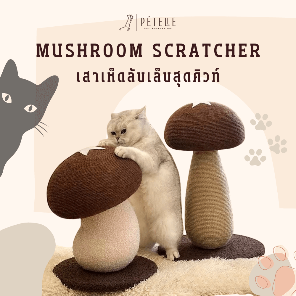 ที่ลับเล็บแมว PETELLE รุ่น MUSHROOM SCRATCHER ไซส์ S สีน้ำตาล_2