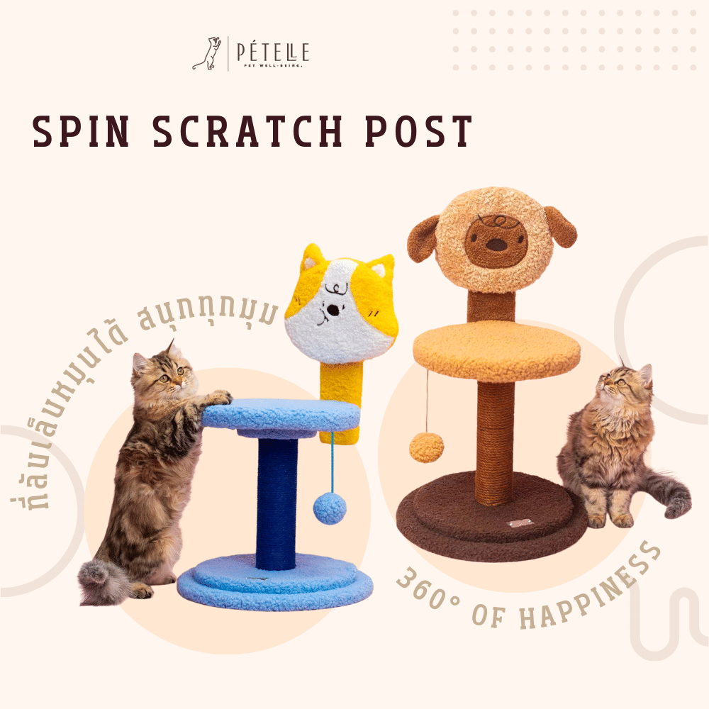 ที่ลับเล็บแมว PETELLE รุ่น SPIN SCRATCH POST สีน้ำตาล (BUDDY SPIN)