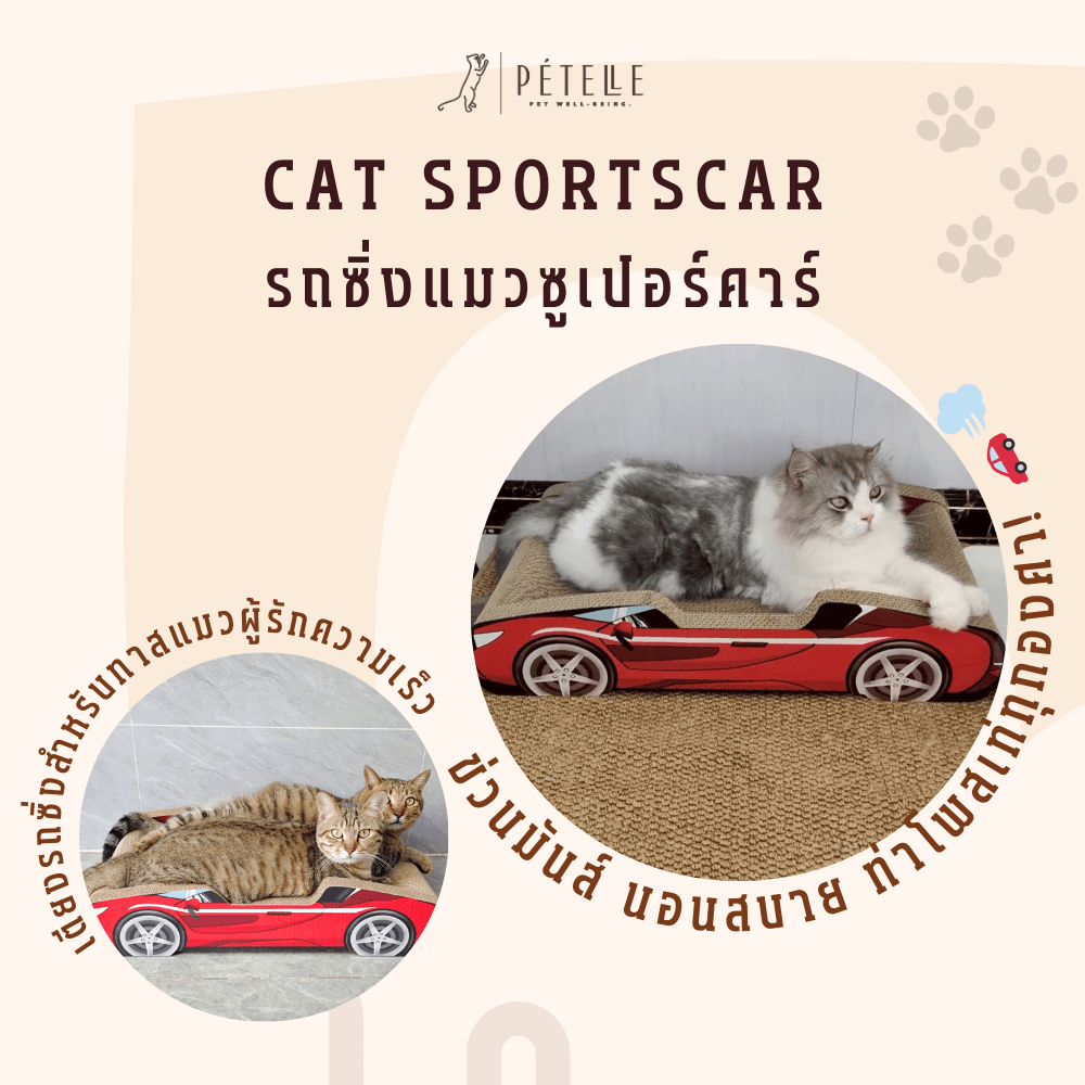 ที่ลับเล็บแมว PETELLE รุ่น CAT SPORTSCAR ทรงรถซูเปอร์คาร์ สีดำ