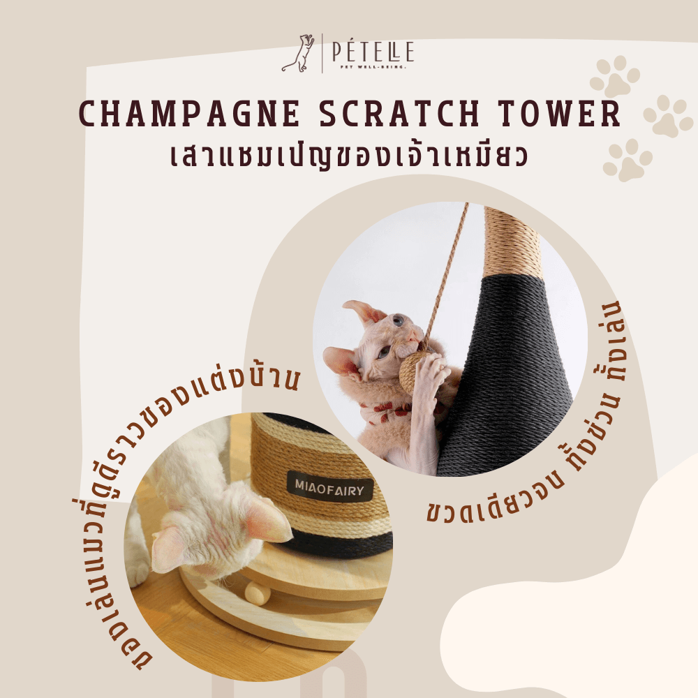 ที่ลับเล็บแมว PETELLE รุ่น CHAMPAGNE SCRATCH TOWER