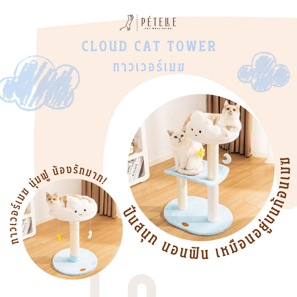 คอนโดแมว PETELLE รุ่นคลาวด์เนสต์ ไซซ์เล็ก_2