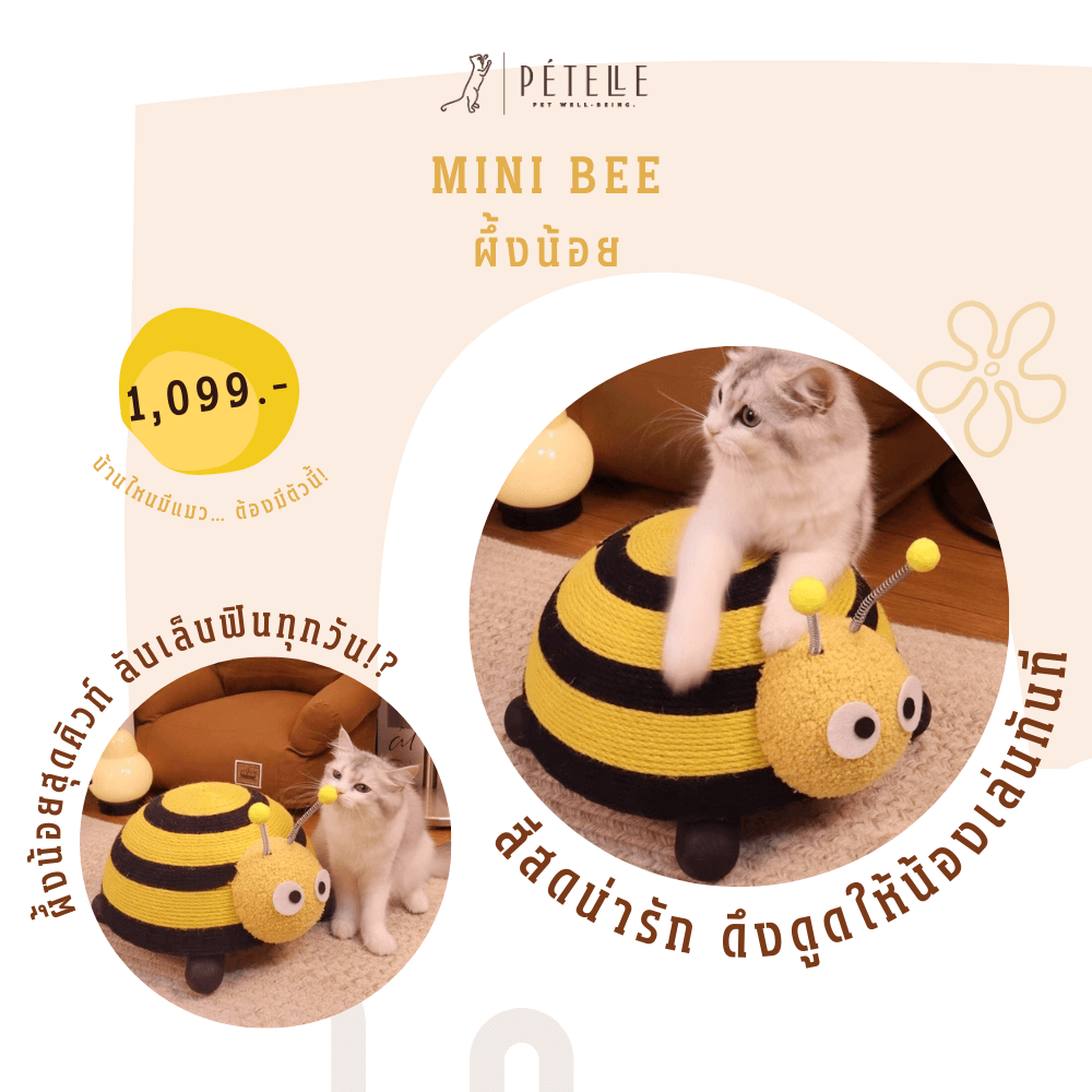 ที่ลับเล็บแมว PETELLE รุ่นแมลงน้อย ผึ้งน้อย