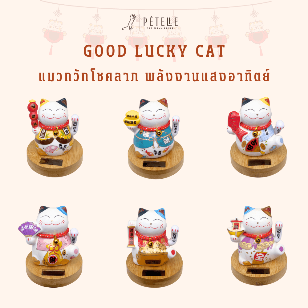 แมวกวักโชคลาภ PETELLE รุ่น GOOD LUCKY CAT 06