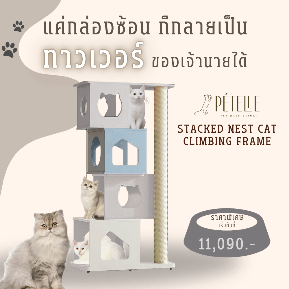 คอนโดแมว PETELE รุ่น STACKED NEST CAT CLIMBING FRAME SIZE M
