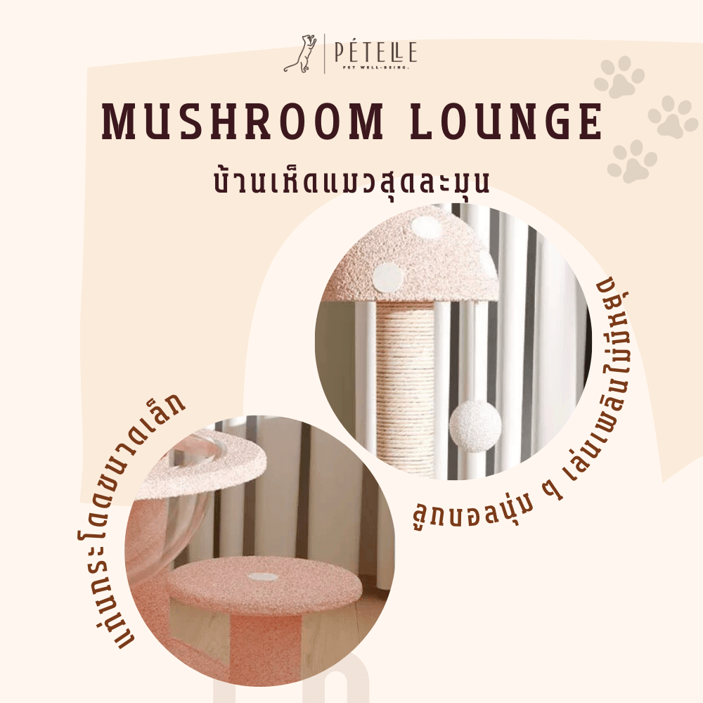 บ้านเห็ดแมวพร้อมโดมใส PETELLE รุ่น MUSHROOM LOUNGE ไซส์ L_3