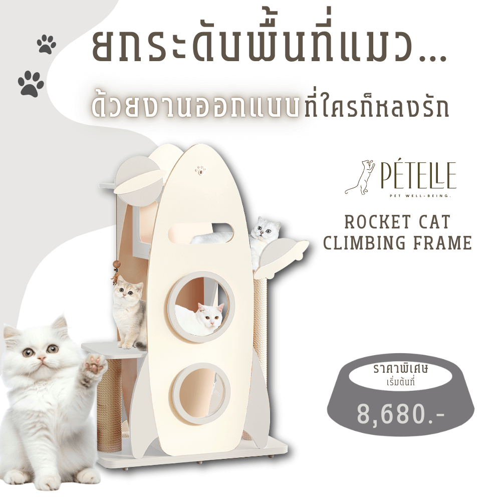 คอนโดแมว PETELE รุ่น ROCKET CAT CLIMBING FRAME SIZE M สีเทา