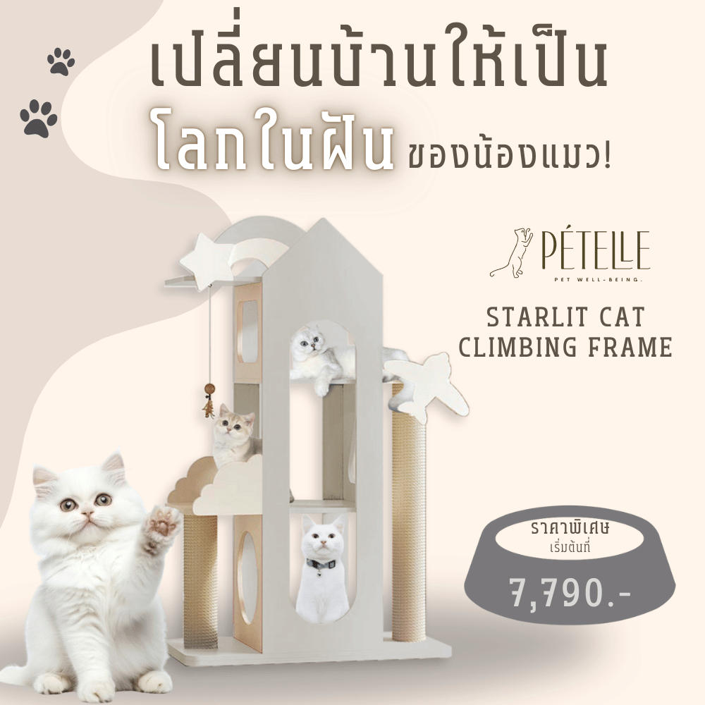 คอนโดแมว PETELE STARLIT CAT CLIMBING FRAME รุ่น COTTAGE SIZE S สีเทา