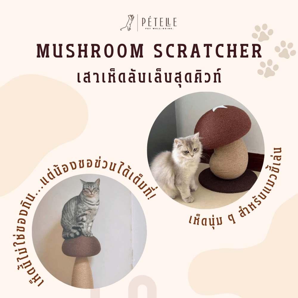 ที่ลับเล็บแมว PETELLE รุ่น MUSHROOM SCRATCHER ไซส์ S สีน้ำตาล_4