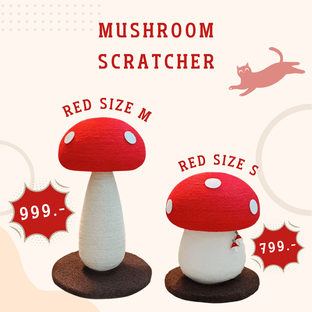 ที่ลับเล็บแมว PETELLE รุ่น MUSHROOM SCRATCHER ไซส์ M สีแดง_4