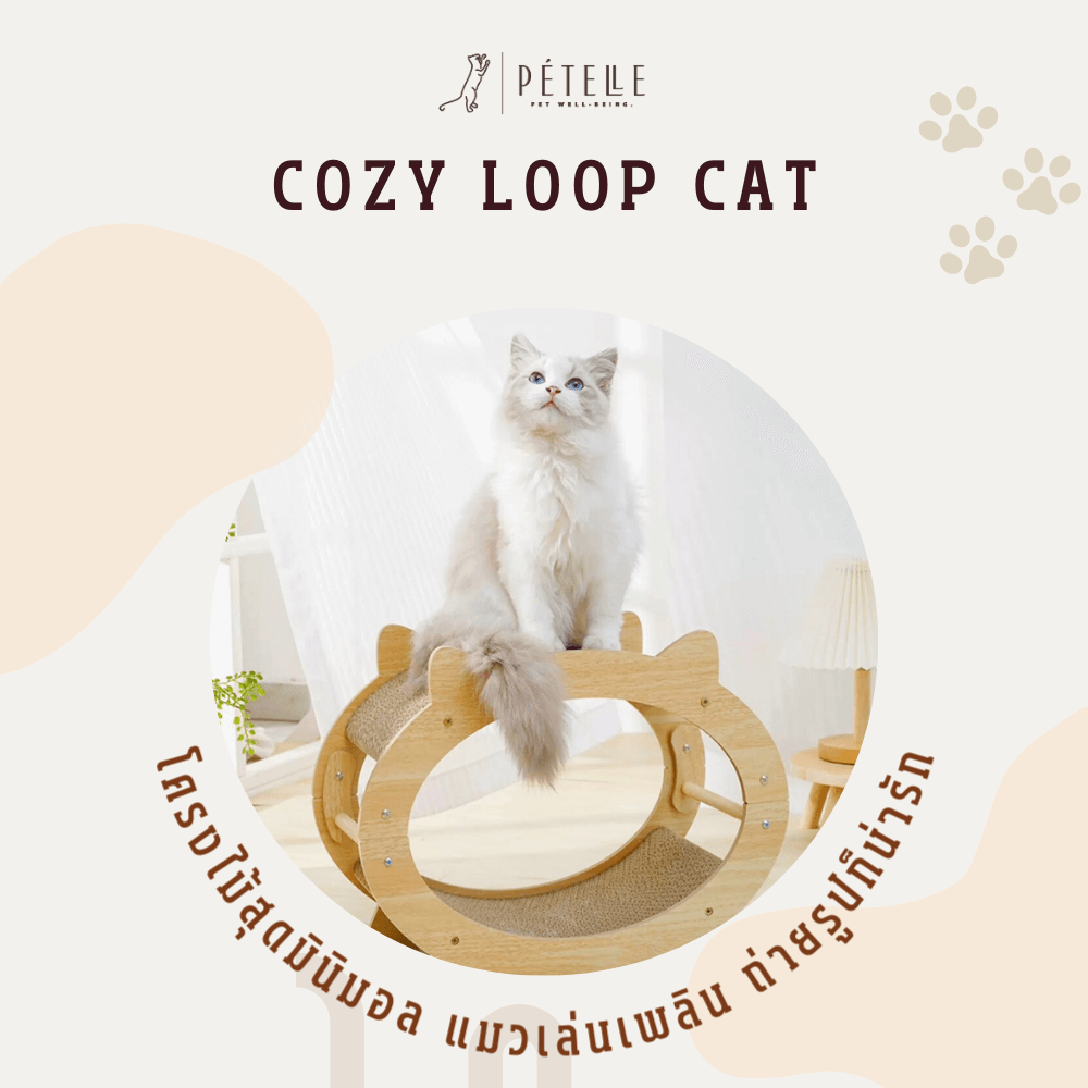 ที่นอนแมวแบบอุโมงค์สองชั้น PETELLE รุ่น COZY LOOP CAT วัสดุกระดาษลูกฟูกและโครงไม้