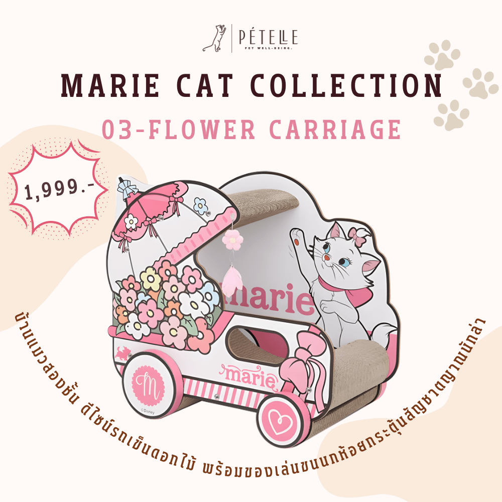 ที่ลับเล็บแมว PETELLE MARIE CAT COLLECTION บ้านแมวลายมารี กาน้ำชา