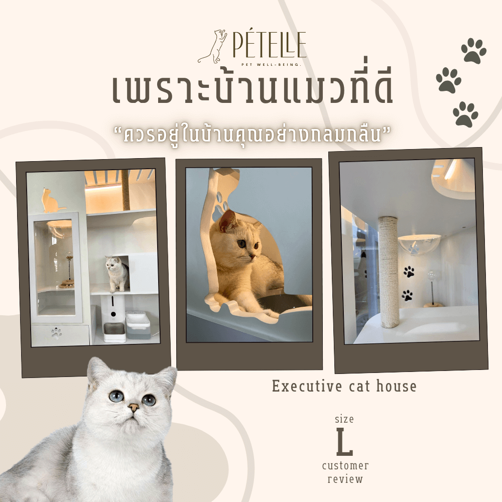 บ้านแมว PETELLE ไซส์ L ขนาด 120X50X150 ซม.