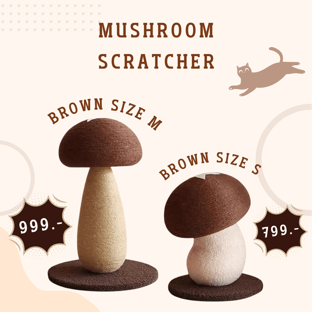 ที่ลับเล็บแมว PETELLE รุ่น MUSHROOM SCRATCHER ไซส์ S สีน้ำตาล_5