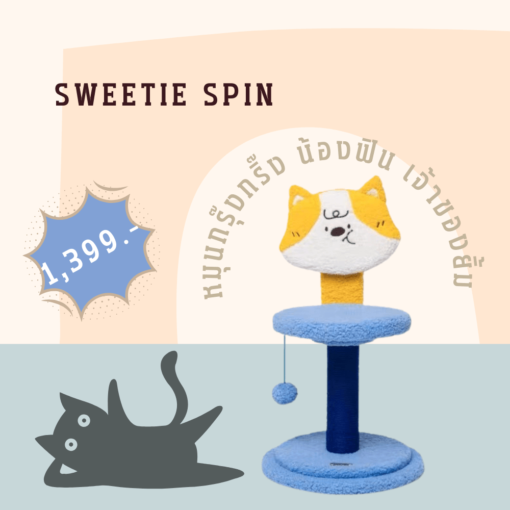 ที่ลับเล็บแมว PETELLE รุ่น SPIN SCRATCH POST สีฟ้า (SWEETIE SPIN)_5