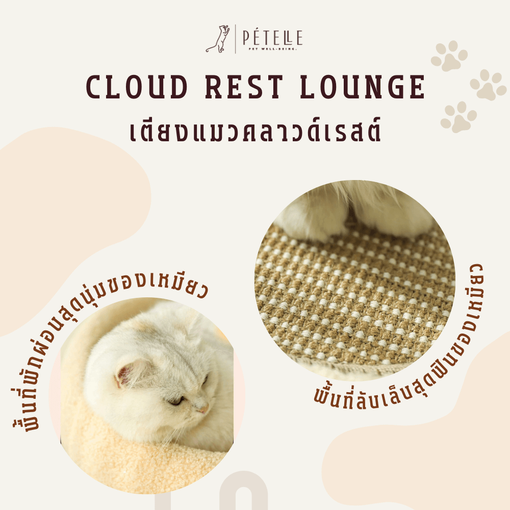 ที่นอนสัตว์เลี้ยง PETELLE รุ่น CLOUD REST LOUNGE_5