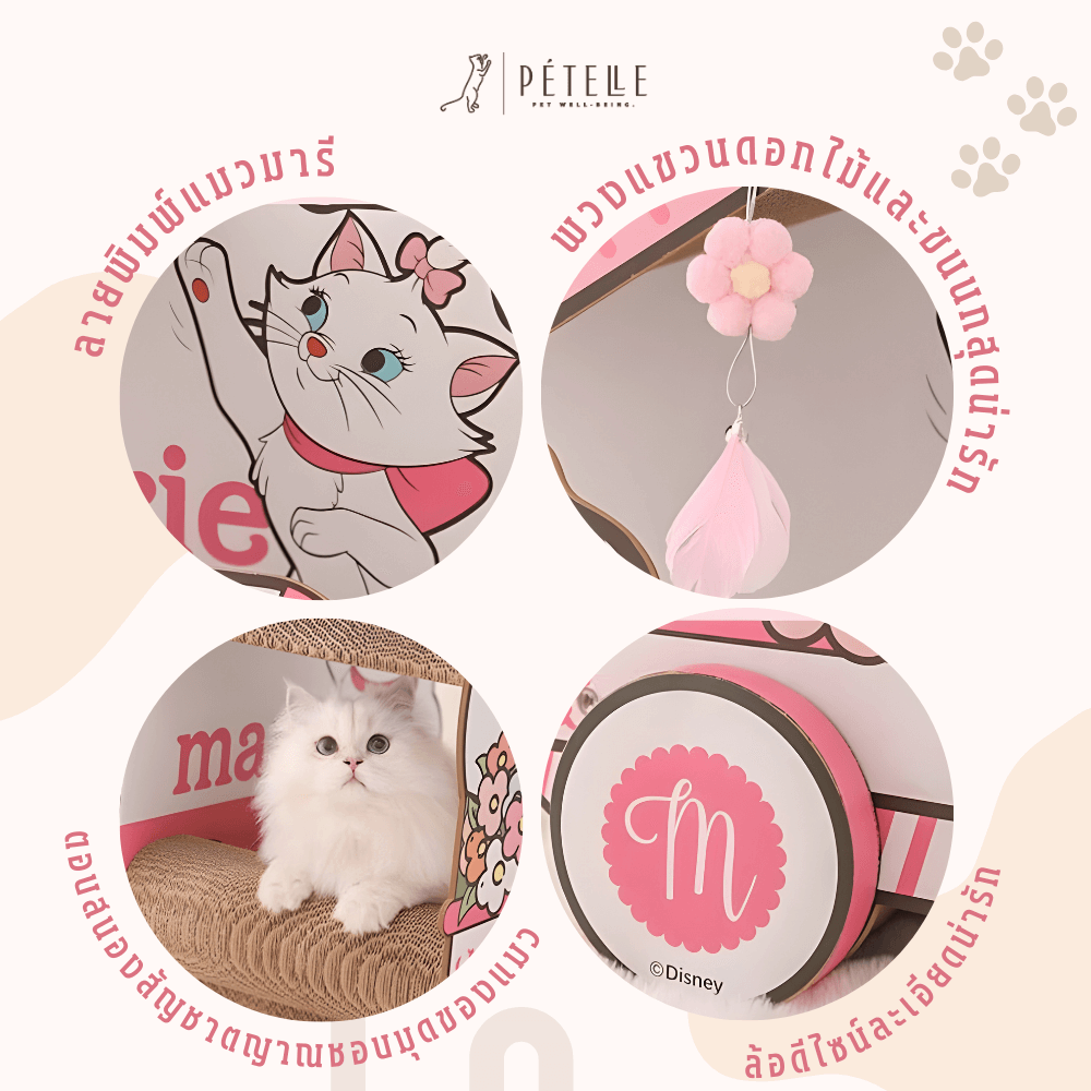 ที่ลับเล็บแมว PETELLE MARIE CAT COLLECTION เลาจน์แมวลายมารี ถ้วยกาแฟ