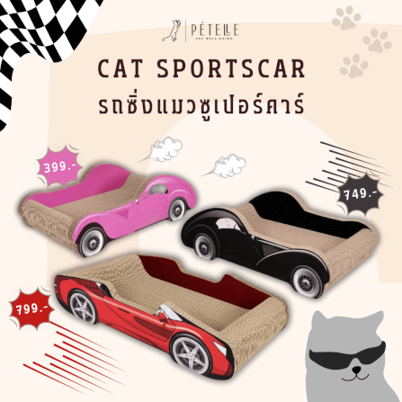 ที่ลับเล็บแมว PETELLE รุ่น CAT SPORTSCAR ทรงรถซูเปอร์คาร์ สีดำ_1