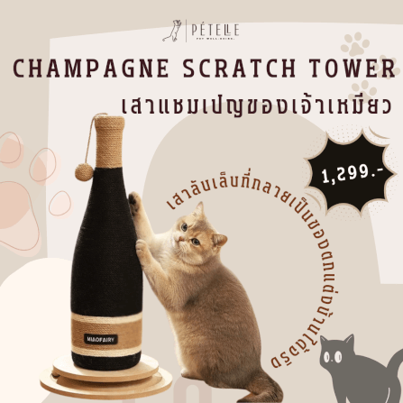 ที่ลับเล็บแมว PETELLE รุ่น CHAMPAGNE SCRATCH TOWER_1