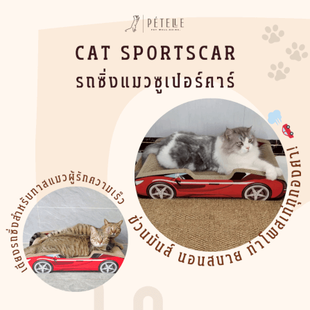 ที่ลับเล็บแมว PETELLE รุ่น CAT SPORTSCAR ทรงรถซูเปอร์คาร์ สีดำ_2