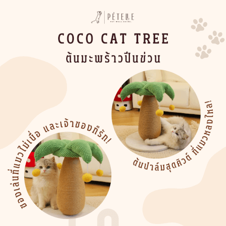 ที่ลับเล็บแมว PETELLE รุ่น COCO CAT TREE_2