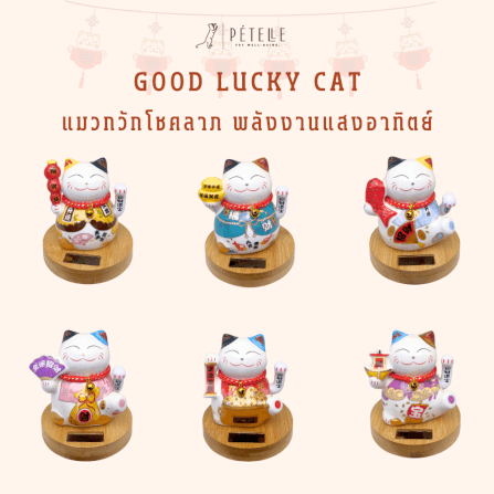 แมวกวักโชคลาภ PETELLE รุ่น GOOD LUCKY CAT 06_2