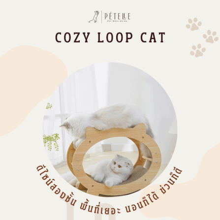 ที่นอนแมวแบบอุโมงค์สองชั้น PETELLE รุ่น COZY LOOP CAT วัสดุกระดาษลูกฟูกและโครงไม้_3