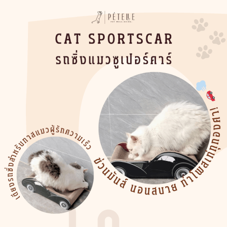 ที่ลับเล็บแมว PETELLE รุ่น CAT SPORTSCAR ทรงรถซูเปอร์คาร์ สีชมพู_4