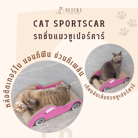 ที่ลับเล็บแมว PETELLE รุ่น CAT SPORTSCAR ทรงรถซูเปอร์คาร์ สีดำ_5
