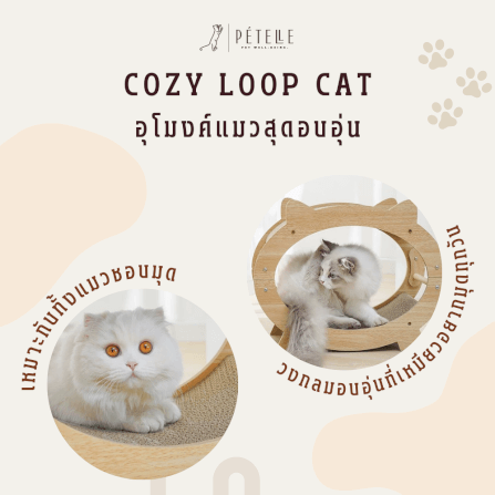 ที่นอนแมวแบบอุโมงค์สองชั้น PETELLE รุ่น COZY LOOP CAT วัสดุกระดาษลูกฟูกและโครงไม้_5