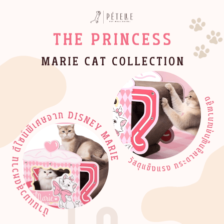 ที่ลับเล็บแมว PETELLE MARIE CAT COLLECTION เลาจน์แมวลายมารี ถ้วยกาแฟ_5