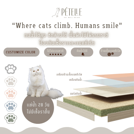 คอนโดแมว PETELE รุ่น ROCKET CAT CLIMBING FRAME SIZE S สีชมพู_5