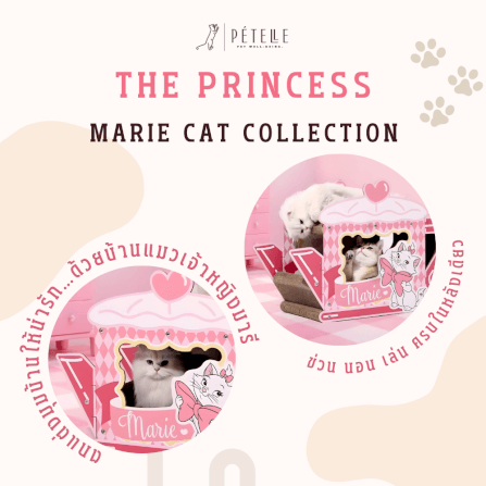 ที่ลับเล็บแมว PETELLE MARIE CAT COLLECTION เลาจน์แมวลายมารี ถ้วยกาแฟ_6