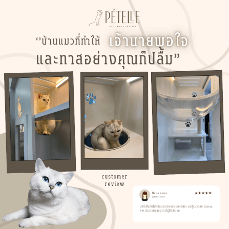 บ้านแมว ประตูบานเลื่อน PETELLE ไซส์ L ขนาด 120X50X150 ซม._6