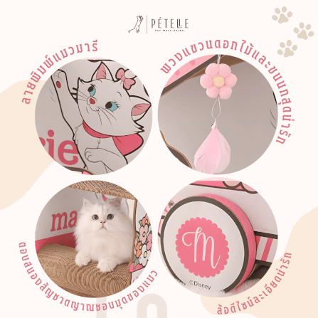 ที่ลับเล็บแมว PETELLE MARIE CAT COLLECTION เลาจน์แมวลายมารี ถ้วยกาแฟ_7