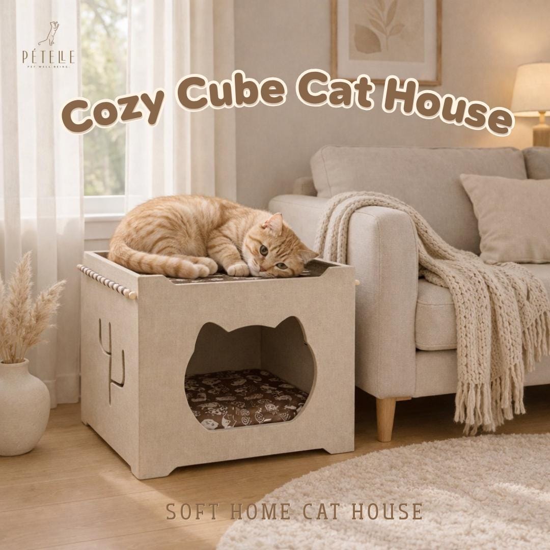 บ้านแมว PETELLE รุ่น CCH-4240 พร้อมเบาะนุ่ม ,สีเบจ_1
