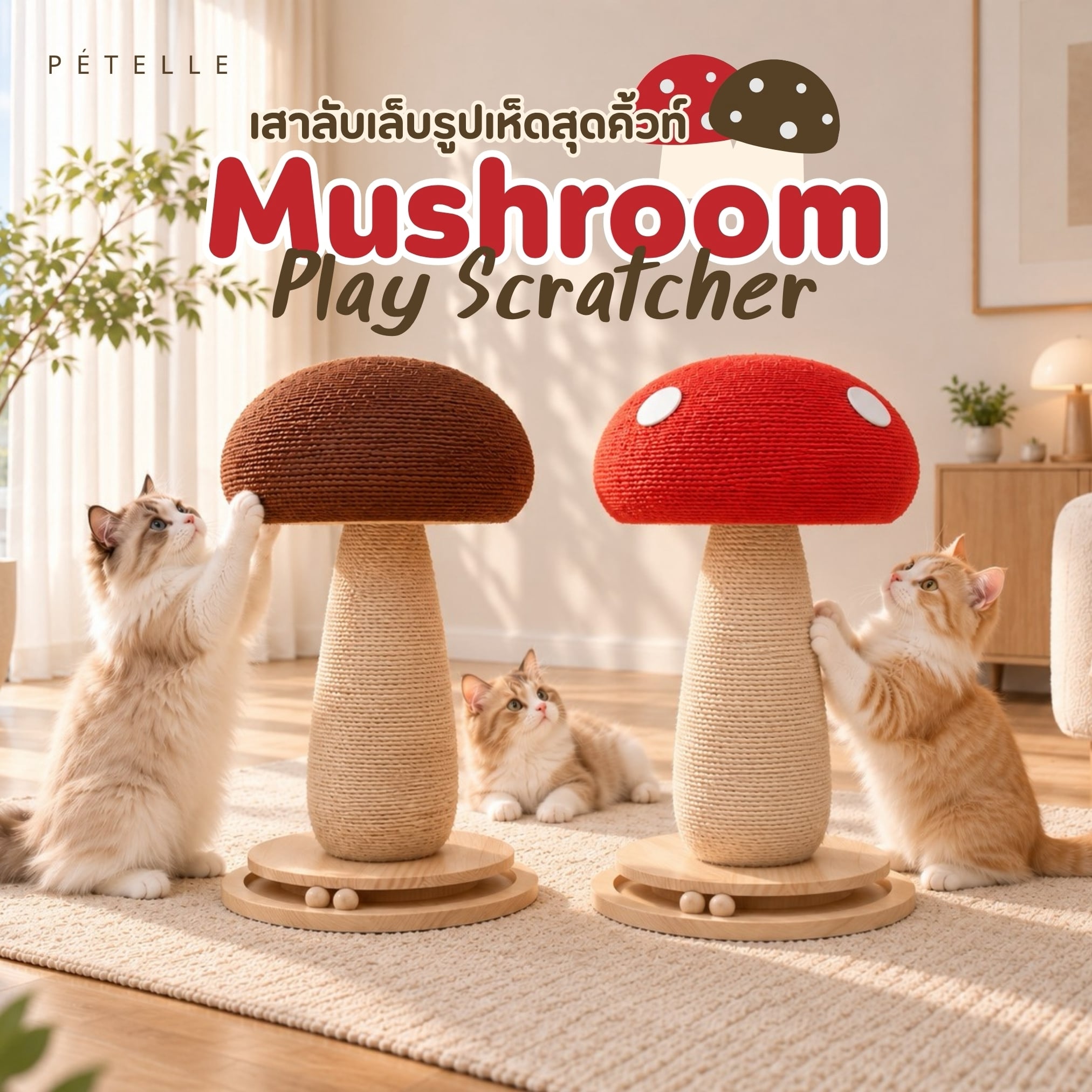ที่ลับเล็บแมวทรงเห็ดพร้อมรางบอล PÉTELLE MUSHROOM PLAY SCRATCHER สีน้ำตาล_1